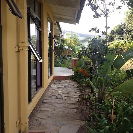 Хостел Jungle Monkey Backpackers Port Saint John's Экстерьер фото
