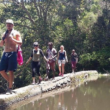 Хостел Jungle Monkey Backpackers Port Saint John's Экстерьер фото