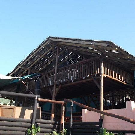 Хостел Jungle Monkey Backpackers Port Saint John's Экстерьер фото