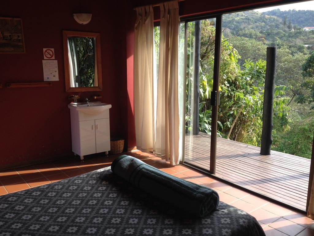 Хостел Jungle Monkey Backpackers Port Saint John's Номер фото