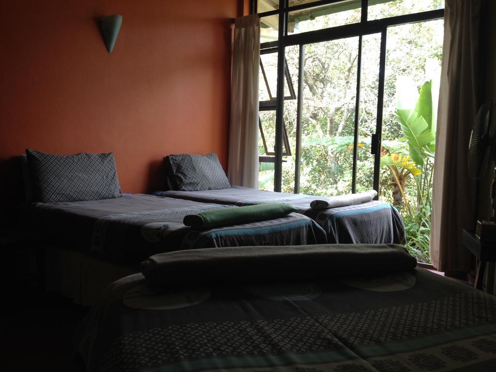 Хостел Jungle Monkey Backpackers Port Saint John's Номер фото