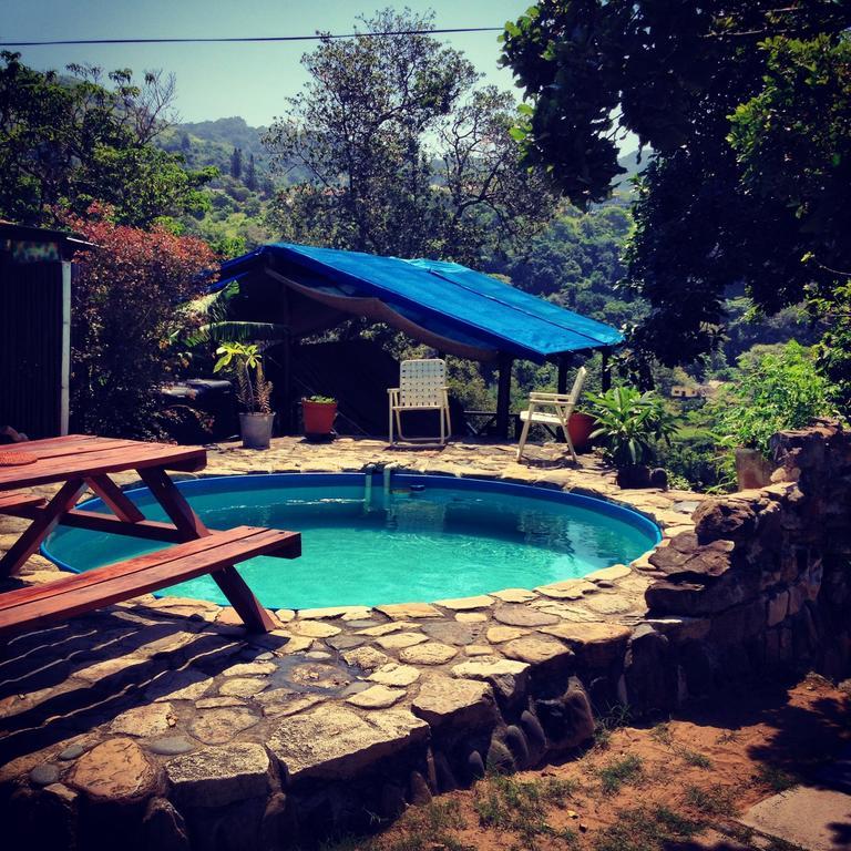 Хостел Jungle Monkey Backpackers Port Saint John's Номер фото