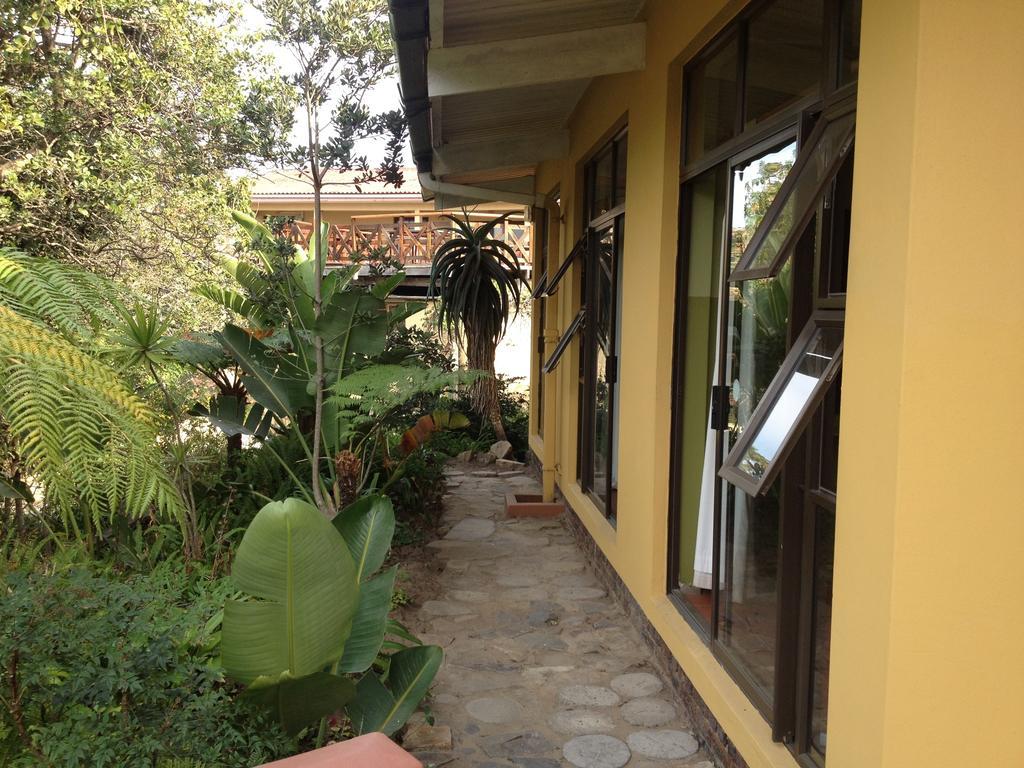 Хостел Jungle Monkey Backpackers Port Saint John's Номер фото