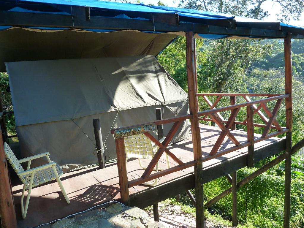 Хостел Jungle Monkey Backpackers Port Saint John's Номер фото