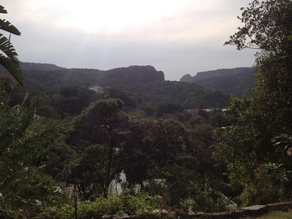Хостел Jungle Monkey Backpackers Port Saint John's Номер фото