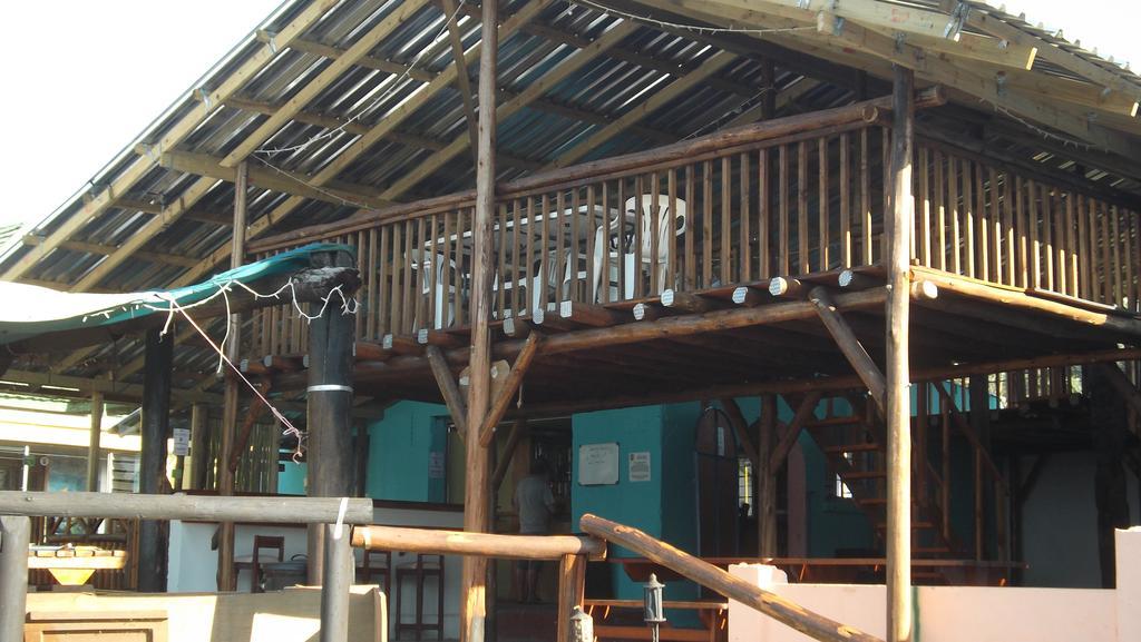 Хостел Jungle Monkey Backpackers Port Saint John's Экстерьер фото