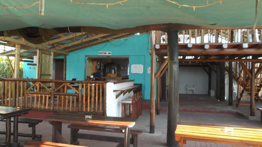 Хостел Jungle Monkey Backpackers Port Saint John's Экстерьер фото